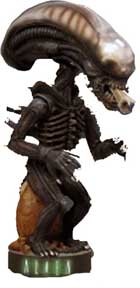 WARRIOR HEAD KNOCKER