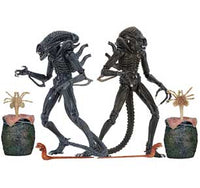 Thumbnail for ULTIMATE ALIENS WARRIORS (1986) ASST 7in SCALE ACTION FIGURE