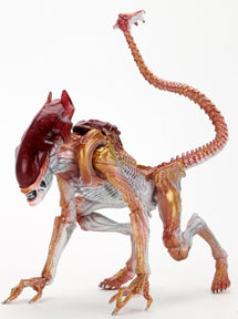 KENNER TRIBUTE PANTHER ALIEN 7in SCALE ACTION FIGURE