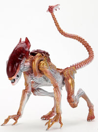 Thumbnail for KENNER TRIBUTE PANTHER ALIEN 7in SCALE ACTION FIGURE