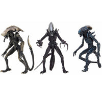 Thumbnail for ALIEN ASSORTMENT (MOVIE DECO) 7in SCALE ACTION FIGURE