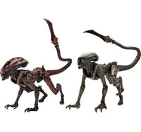 Thumbnail for SERIES 1 ASSORTMENT 7in SCALE ACTION FIGURE