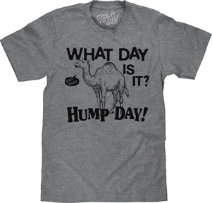 HUMP DAY MENS T-SHIRT