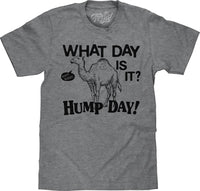 Thumbnail for HUMP DAY MENS T-SHIRT