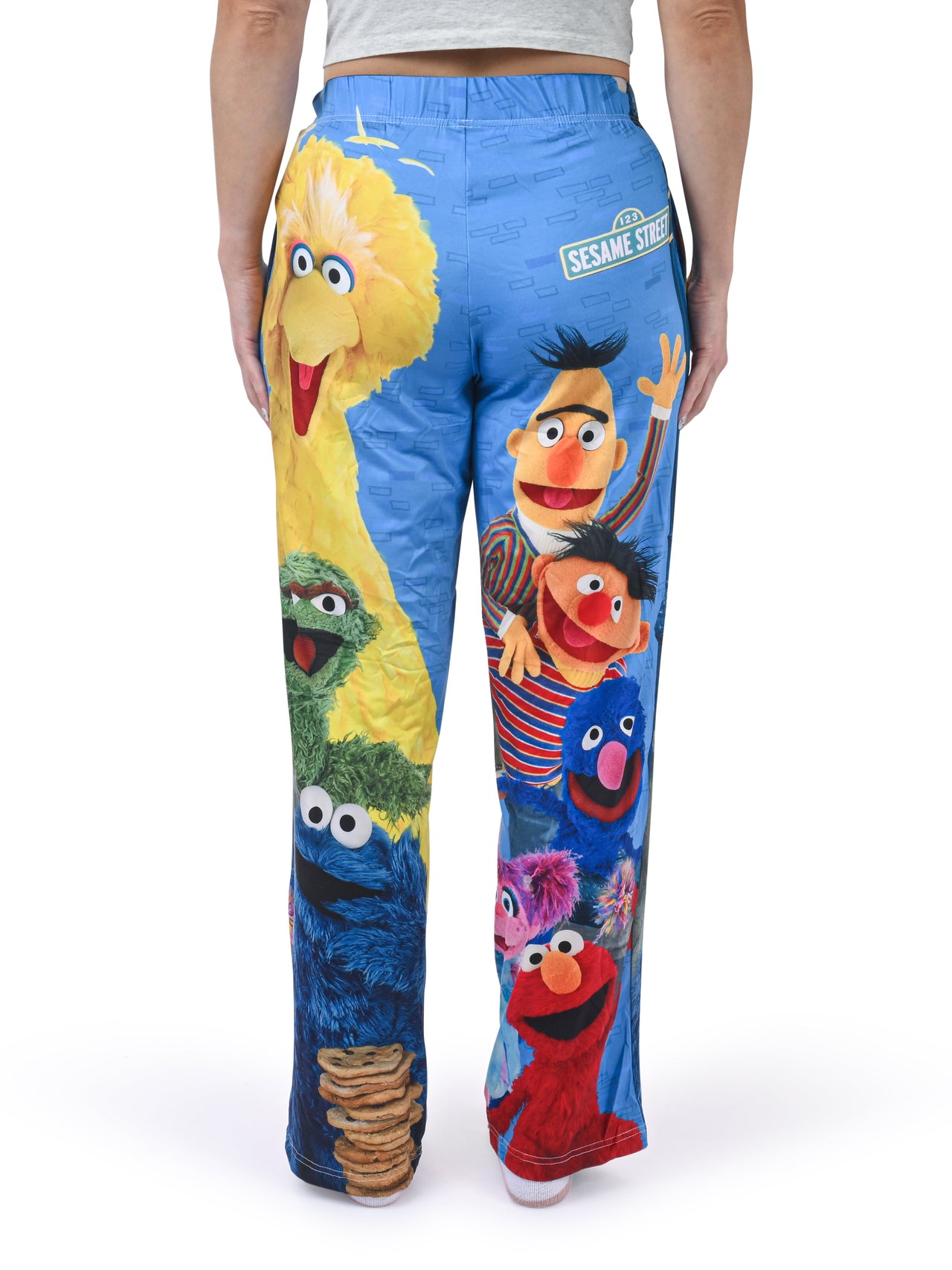 Sesame Street Group Lounge Pants back view