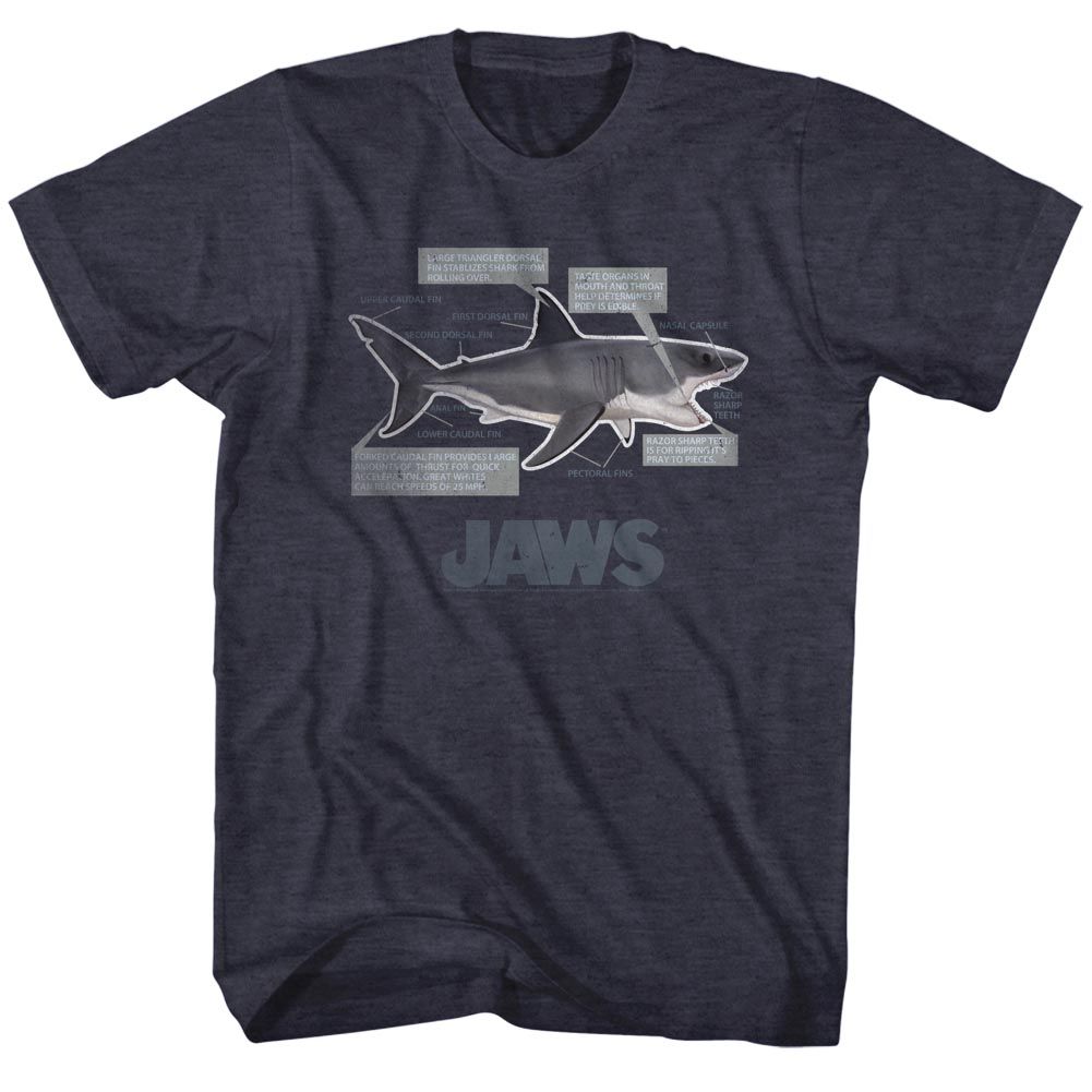 JAWS-JAWS ANATOMY-NAVY HEATHER ADULT S/S TSHIRT