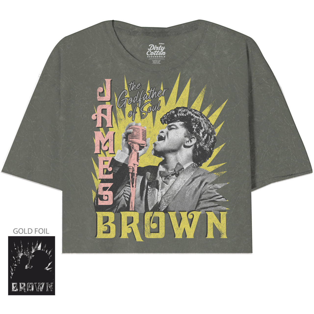 JAMES BROWN ON THE MIC STONE GRAY OVERSIZED CROP TEE