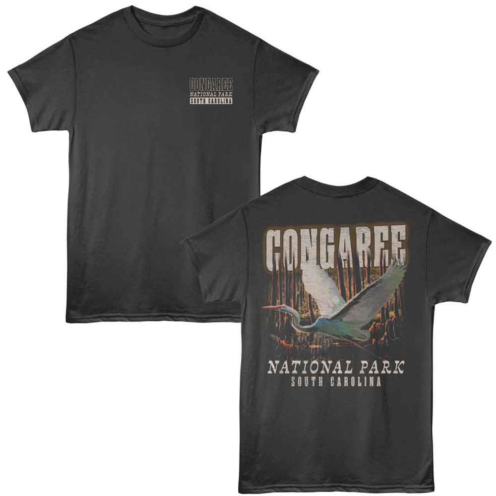 Lantern Press - Congaree Swamp Scene T-Shirt