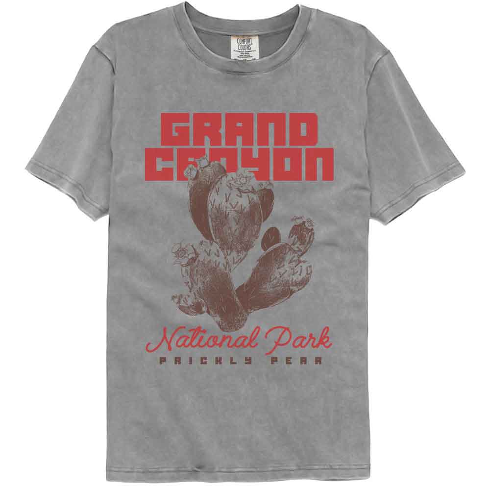 Lantern Press - Grand Canyon Prickly Pear Comfort Color T-Shirt