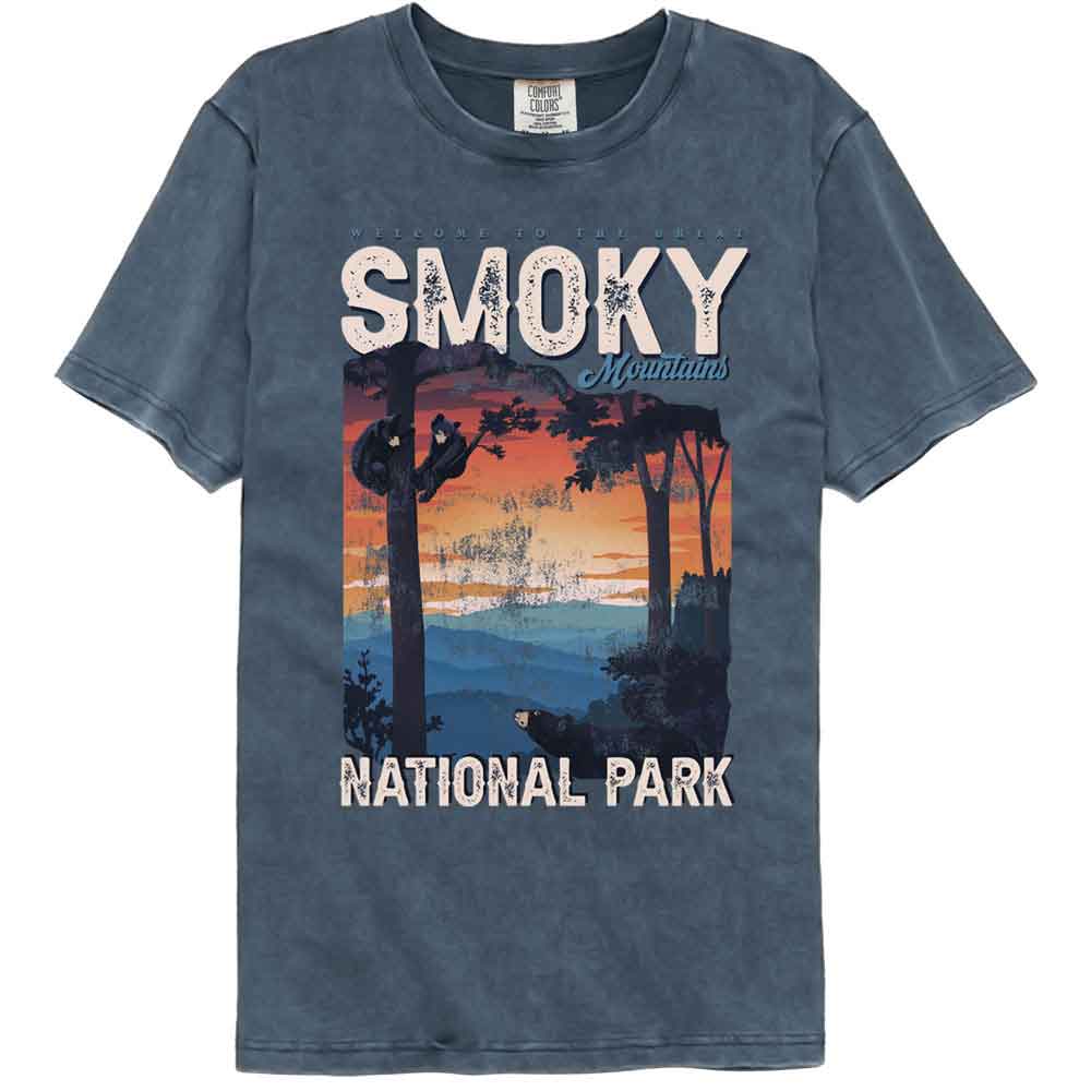 Lantern Press - Welcome Smoky Mountains Comfort Color T-Shirt