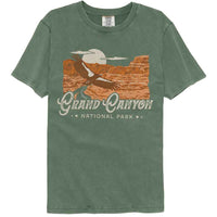 Thumbnail for Lantern Press - Grand Canyon Bird Comfort Color T-Shirt