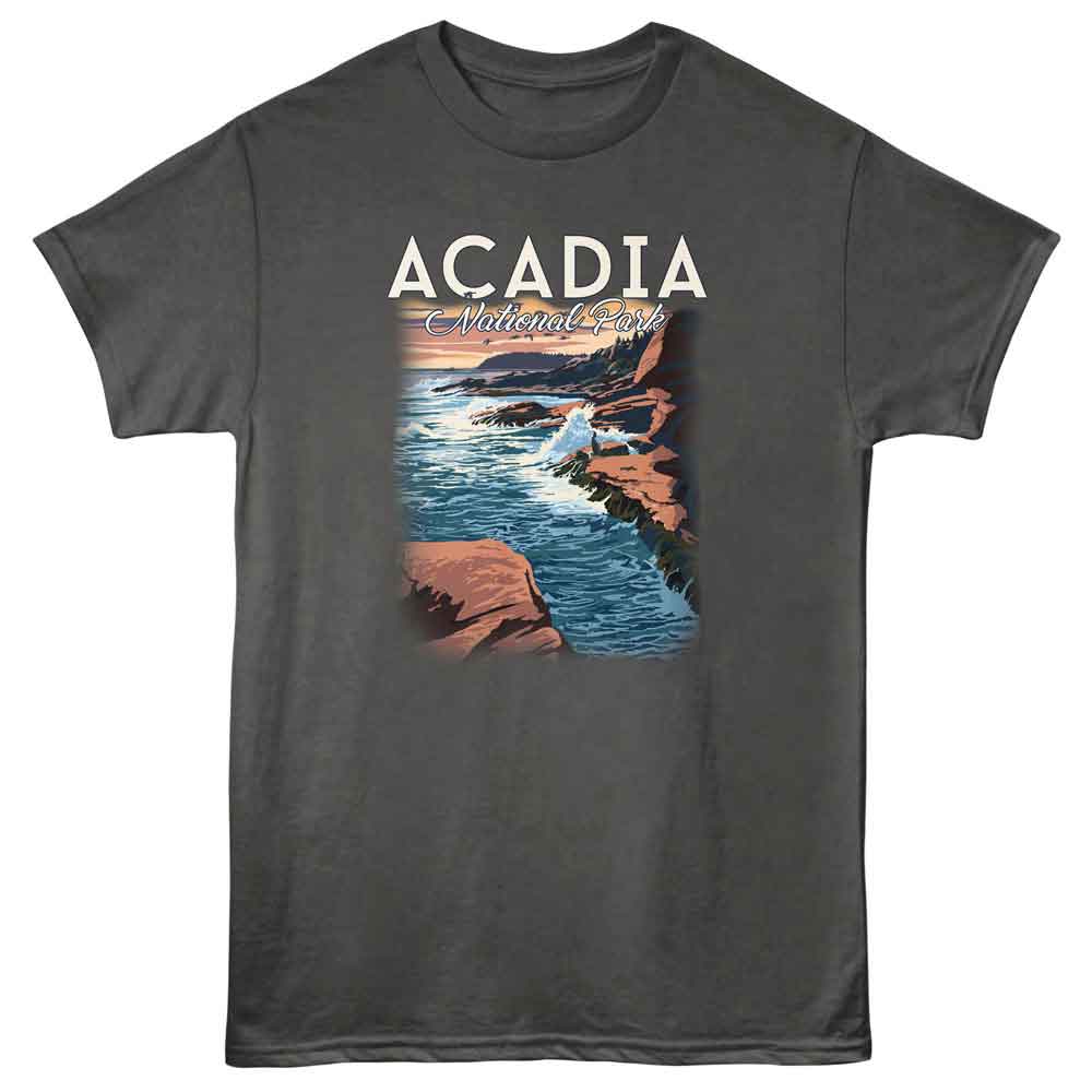 Lantern Press - Acadia N P T-Shirt