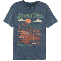 Thumbnail for Lantern Press NPCA - Joshua Tree Comfort Color T-Shirt