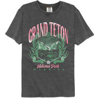 Thumbnail for Lantern Press NPCA - Grand Teton Comfort Color T-Shirt