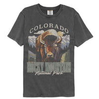 Thumbnail for Lantern Press NPCA - Colorado Bison Comfort Color T-Shirt