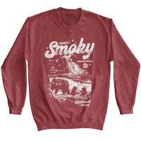 Thumbnail for Lantern Press NPCA - Bear Cubs Waterfall Sweatshirt