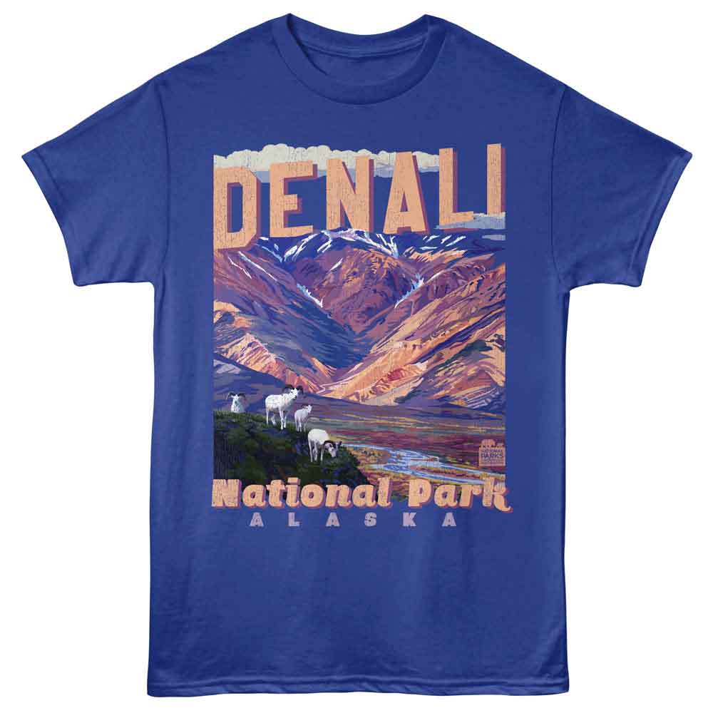 Lantern Press NPCA - Denali Back Mtn T-Shirt