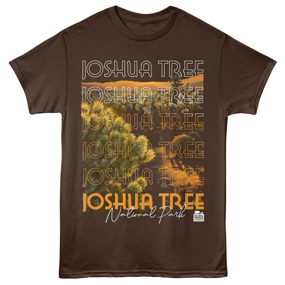 Lantern Press NPCA - Joshua Tree Scene T-Shirt