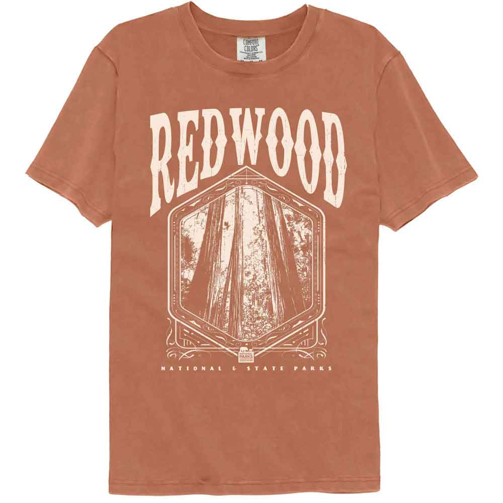 Lantern Press NPCA - Redwood Np Trees Comfort Color T-Shirt
