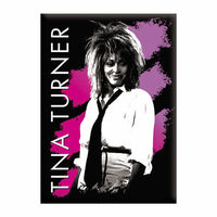 Thumbnail for Tina Turner Paint Strokes 2.5