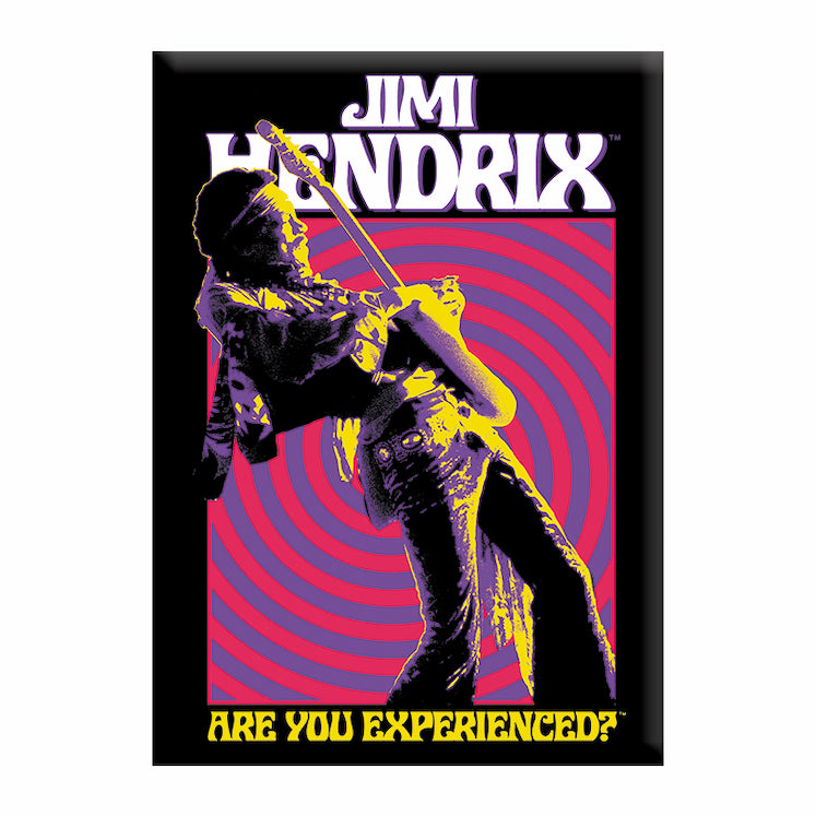 Jimi Hendrix Trippy Swirl 2.5"x3.5" Magnet  - 3 pc prepack