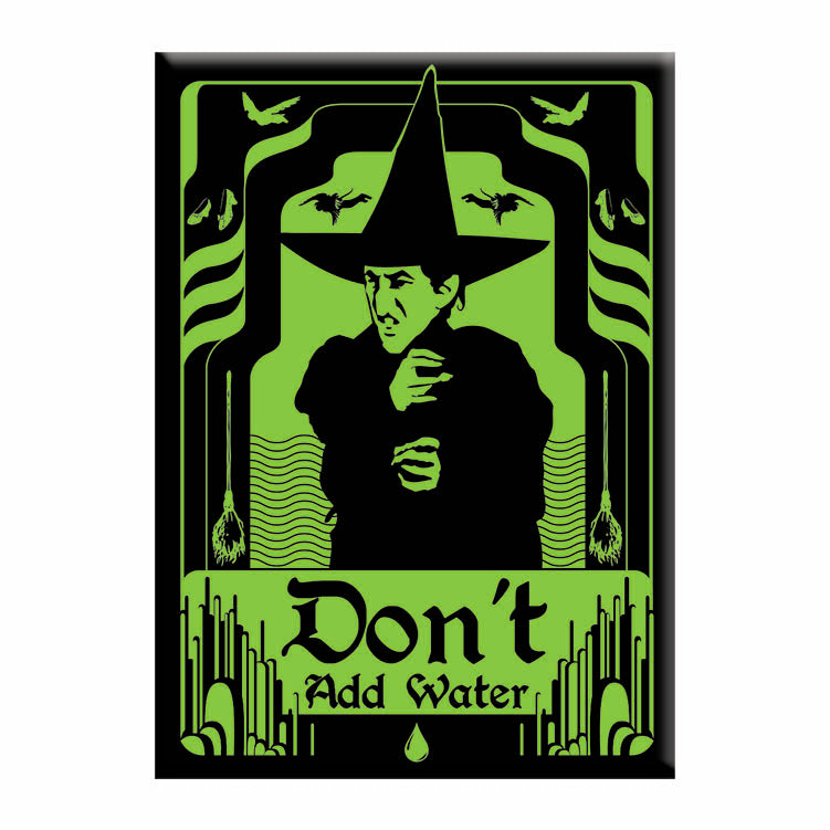 The Wizard of Oz Wicked Witch 2.5"x3.5" Magnet - 3 pc prepack