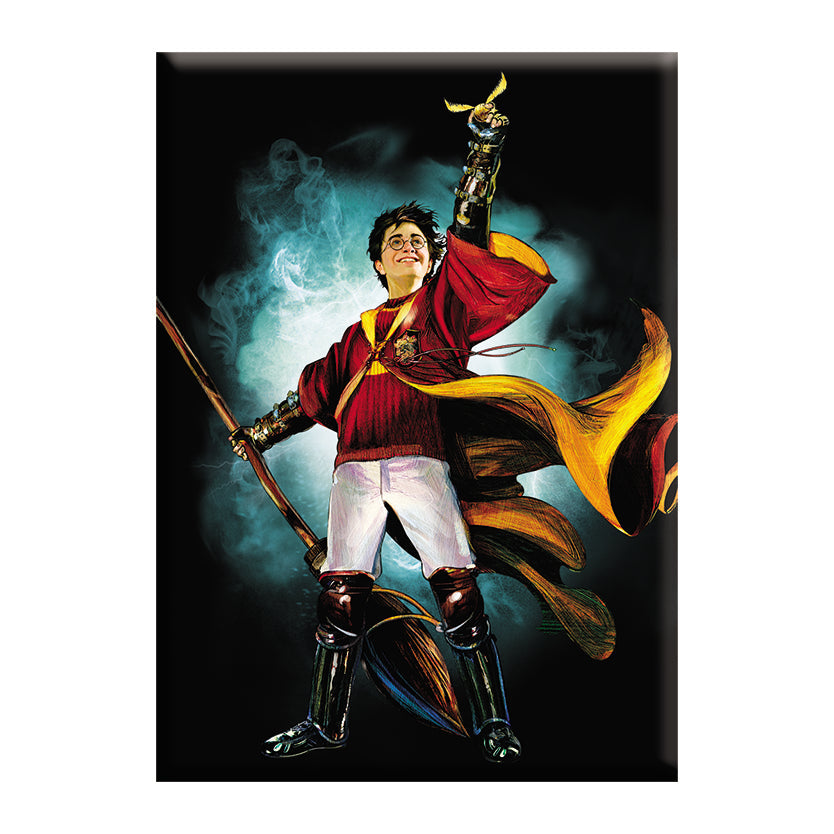 Harry Potter Harry with Snitch 2.5"x3.5" Magnet - 3 pc prepack