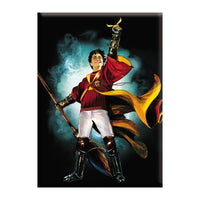 Thumbnail for Harry Potter Harry with Snitch 2.5