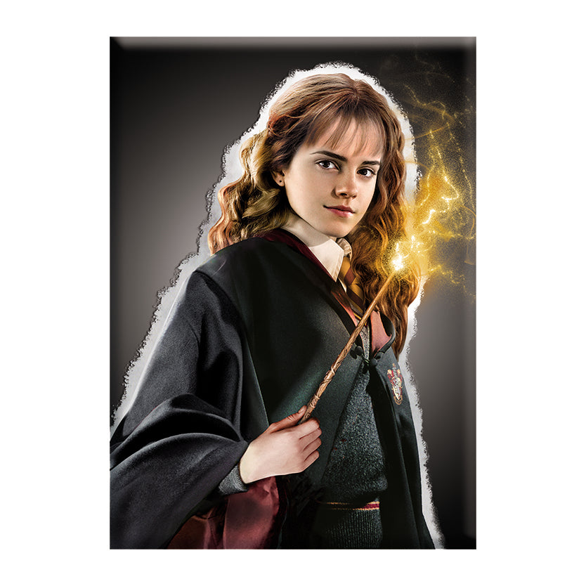 Harry Potter Hermione Granger 2.5"x3.5" Magnet - 3 pc prepack