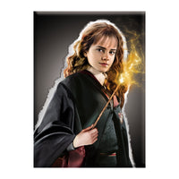 Thumbnail for Harry Potter Hermione Granger 2.5
