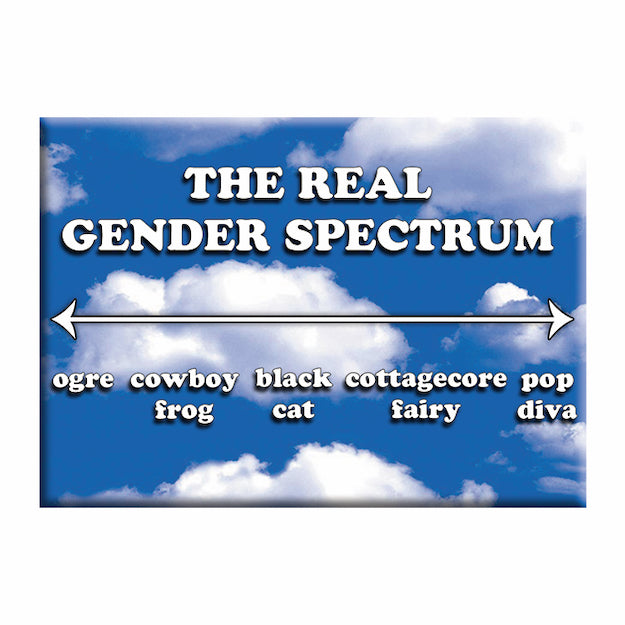 LGBTQ+ Gender Spectrum 2.5"x3.5" Magnet - 3 pc prepack