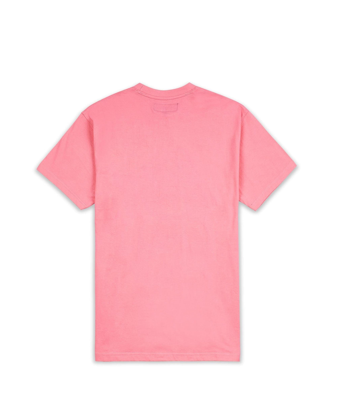 Money Bear T-Shirt