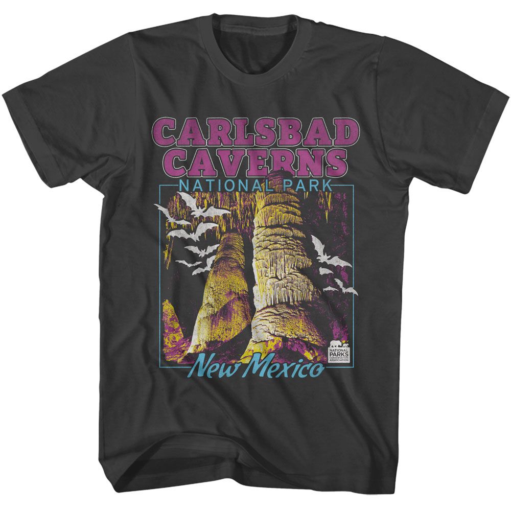 NPCA-CARLSBAD CAVERNS-SMOKE ADULT S/S TSHIRT