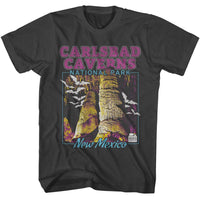 Thumbnail for NPCA-CARLSBAD CAVERNS-SMOKE ADULT S/S TSHIRT