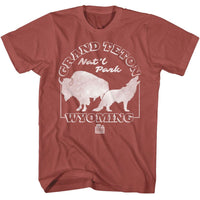Thumbnail for NPCA-GRAND TETON-TERRACOTTA ADULT S/S TSHIRT