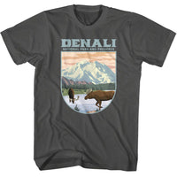 Thumbnail for NPCA-DENALI LANDSCAPE SHAPE-SMOKE ADULT S/S TSHIRT