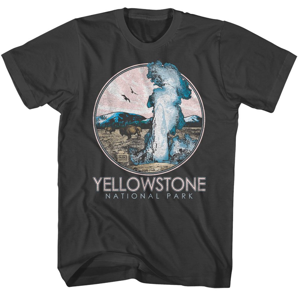 NPCA-YELLOWSTONE GEYSER CIRCLE-SMOKE ADULT S/S TSHIRT