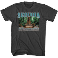 Thumbnail for NPCA-SEQUOIA-SMOKE ADULT S/S TSHIRT