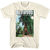 Thumbnail for NPCA-REDWOOD NAT AND STATE PARK-NATURAL ADULT S/S TSHIRT