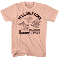 Thumbnail for NPCA-RARE PLANTS YELLOWSTONE-PEACH ADULT S/S TSHIRT
