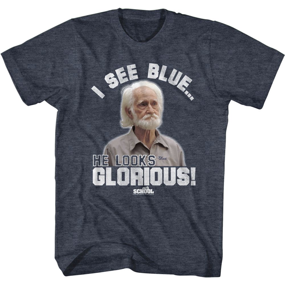 OLD SCHOOL-GLORIOUS-NAVY HEATHER ADULT S/S TSHIRT