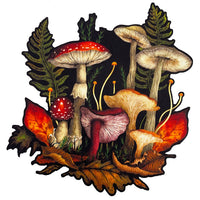 Thumbnail for Episodic Drawing Autumn Mushrooms 3.25