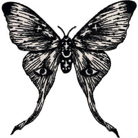Thumbnail for Episodic Drawing Magic Moon Moth 3.5