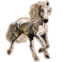 Thumbnail for Heather Edwards Horse Gallop 3.6