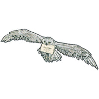 Thumbnail for Harry Potter Hedwig 4