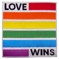 Thumbnail for LGBTQ+ Love Wins 8.5