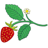 Thumbnail for JSX Strawberry Branch 4.25