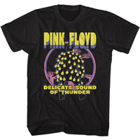 Thumbnail for PINK FLOYD-PINK FLOYD DELICATE-BLACK ADULT S/S TSHIRT