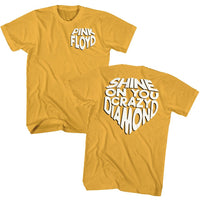 Thumbnail for PINK FLOYD-SHINE ON-GINGER ADULT S/S TSHIRT