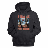 Thumbnail for Pink Floyd